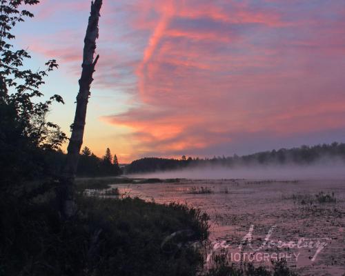 Algonquin Park Lake Sunrise