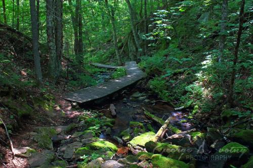 Bat Lake Trail, Algonquin Park