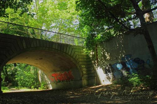 Chorley Park graffiti