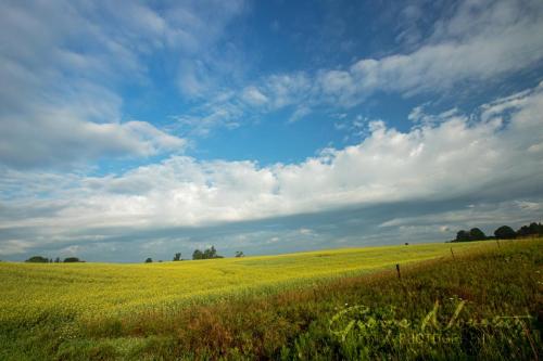 Countryside near Bloomington and 48