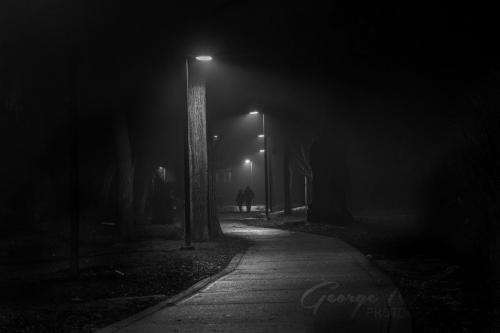 Foggy path