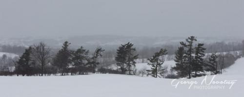 Hills near Rice Lake