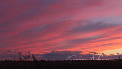 Holt Road Sunset