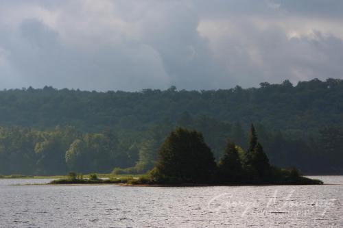 Island on Oxtongue Lake