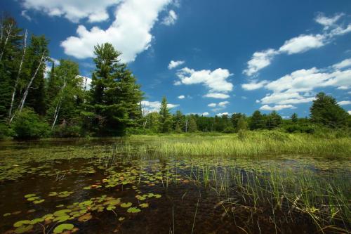 Kinesis River, Haliburton Higlands