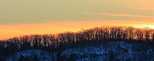 Lake of Bays tree line sunset