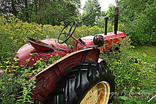 Little Red Riding Tractor