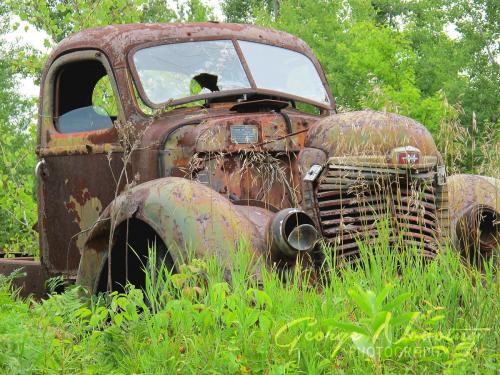 Madawaska truck cemetary 1