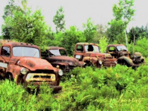 Madawaska truck cemetary 2