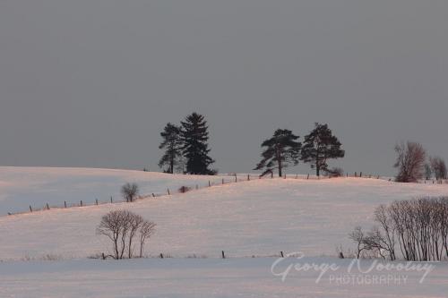 Near Perry Town, Ontario