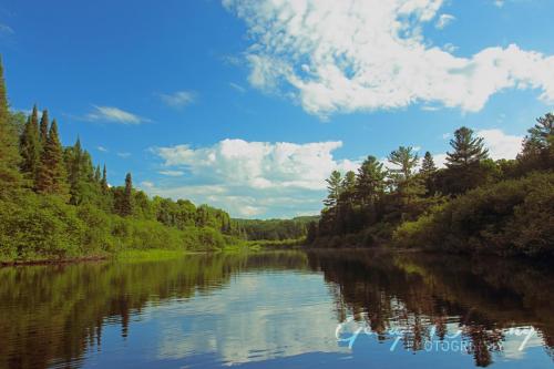 Oxtongue River