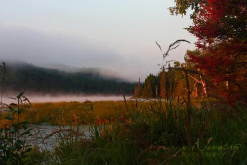 Park Lake, Algonquin Park