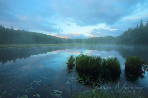 Park Lake morning, Algonquin