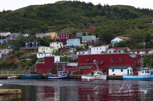 Petty Harbour2  NFLD