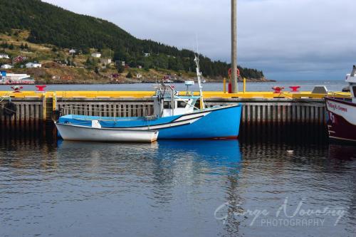 Petty Harbour Blue Boat