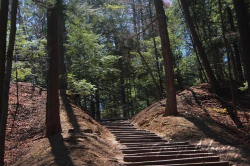 Rouge Park steps