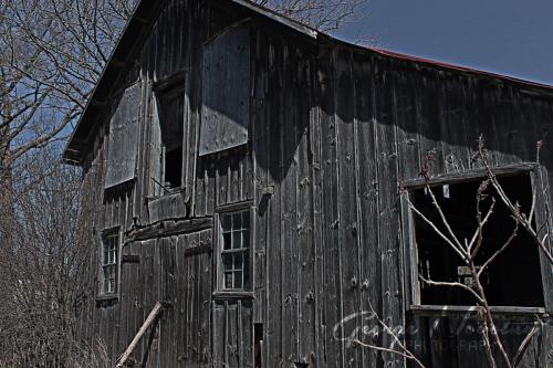 Shed near Picton-1