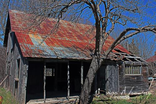 Shed near Picton 2