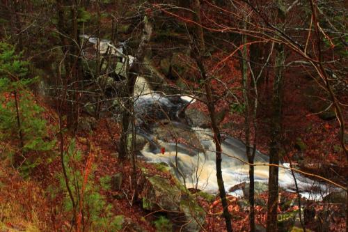 Stream Near Kinmoount