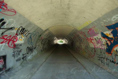 Tunnel under DVP