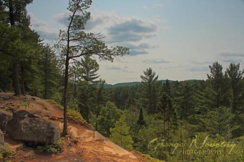 View from Two Rivers Trail, Algonquin Park