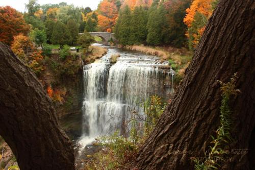 Webster's Falls