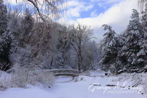 Winter Bridge