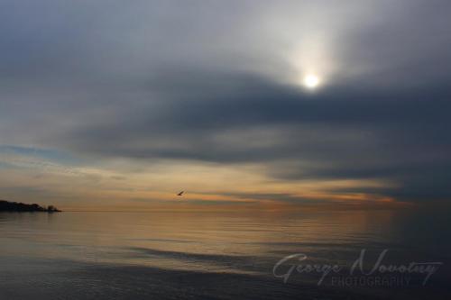 Woodbine Beach March 31-2015 9.16am