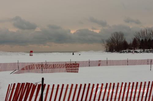 Woodbine Beach winter dog walk